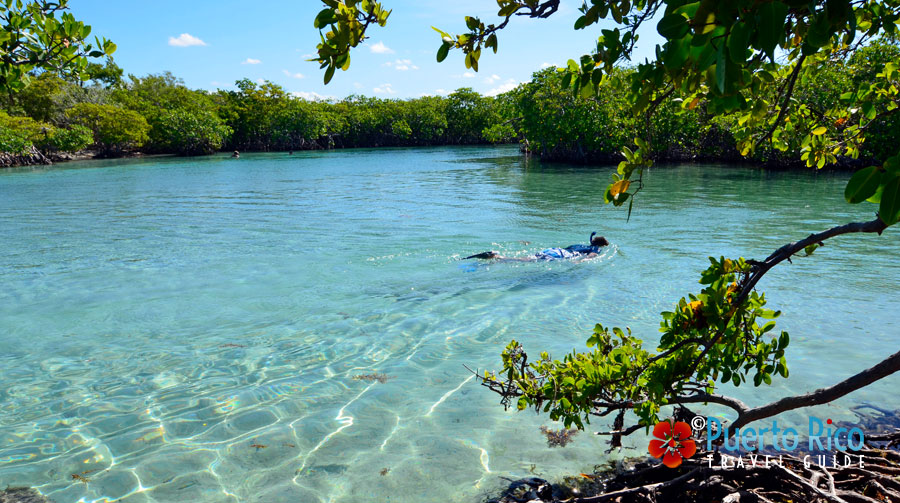 Guanica Puerto Rico - Top places to stay